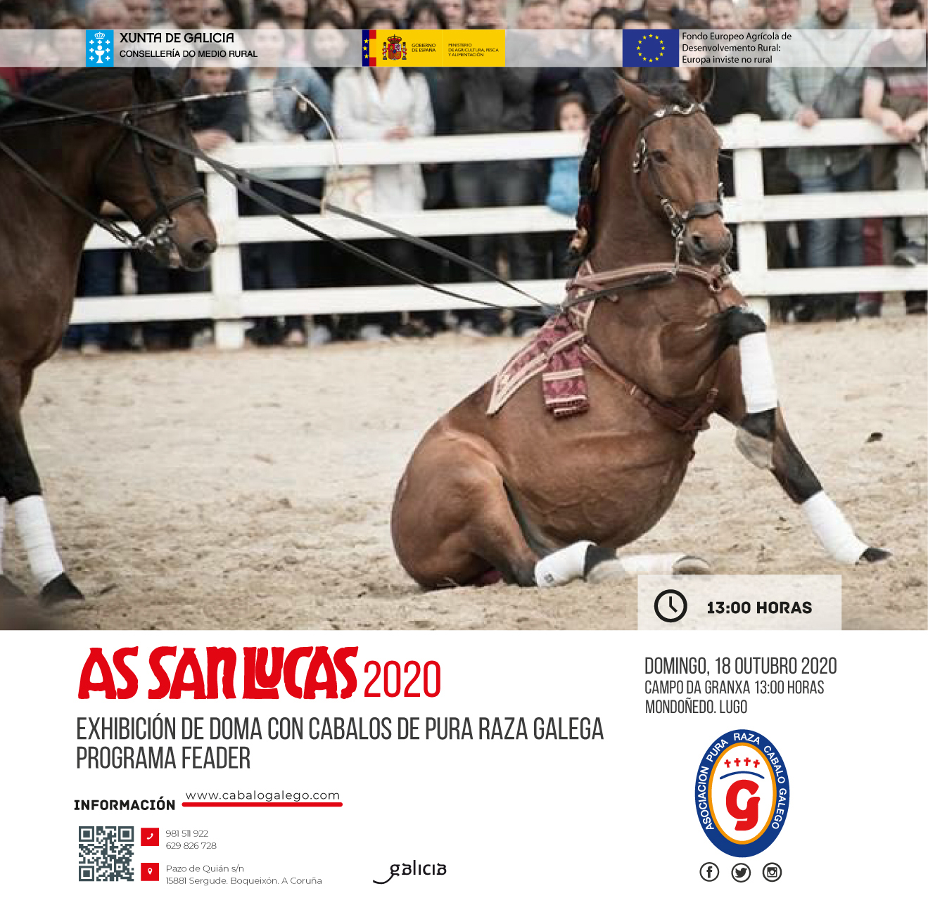 Exhibición de Doma con Cabalos de Pura Raza Galega