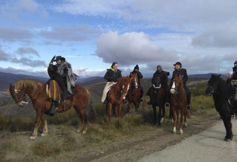 Asociación Pura Raza Cabalo Galego - Camino de Santiago