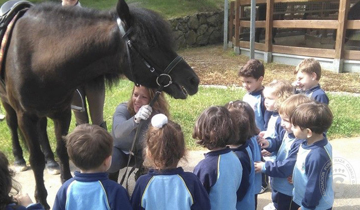 Asociación Pura Raza Cabalo Galego - Visitas al centro