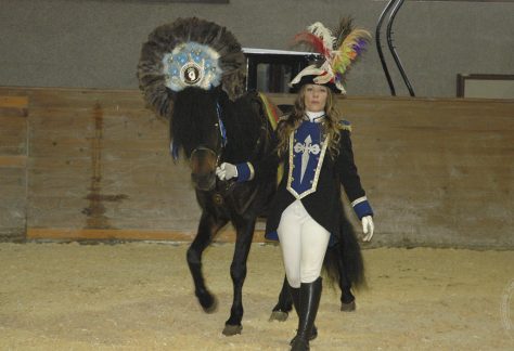 Asociación Pura Raza Cabalo Galego - Xenerais