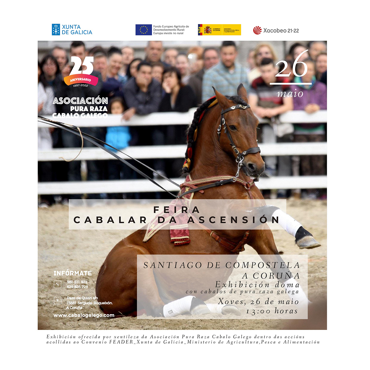 Exhibición de Doma con cabalos de pura raza galega Feira Cabalar da Ascensión. Santiago de Compostela. A Coruña