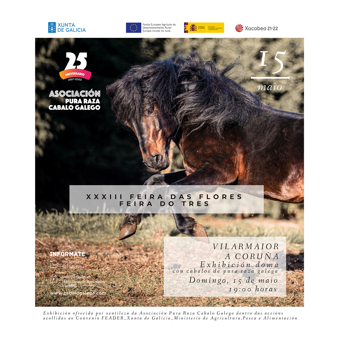 Exhibición de Doma con cabalos de pura raza galega XXXIII Feira dasFlores 2022. Vilarmaior. A Coruña.