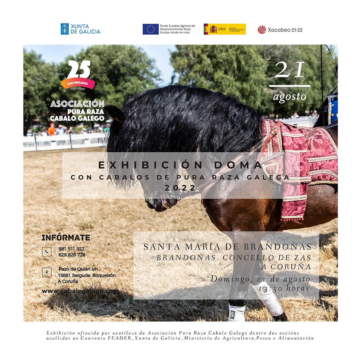 Exhibición de Doma con cabalos de pura raza galega Santa María de Brandoñas.