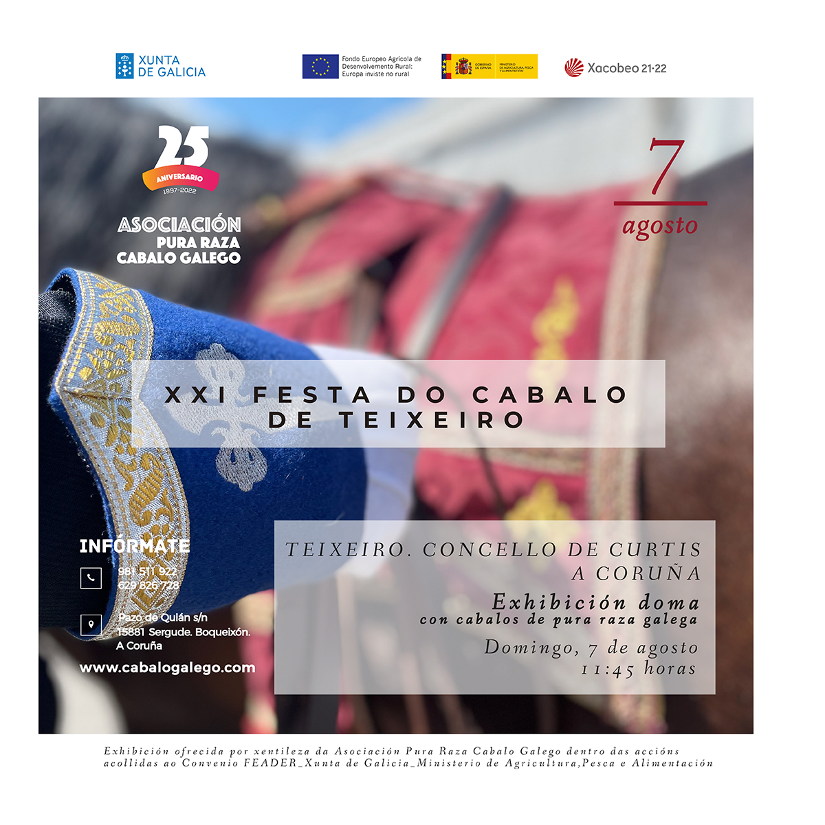 Exhibición de Doma con cabalos de pura raza galega XXI Festa do Cabalo de Teixeiro.