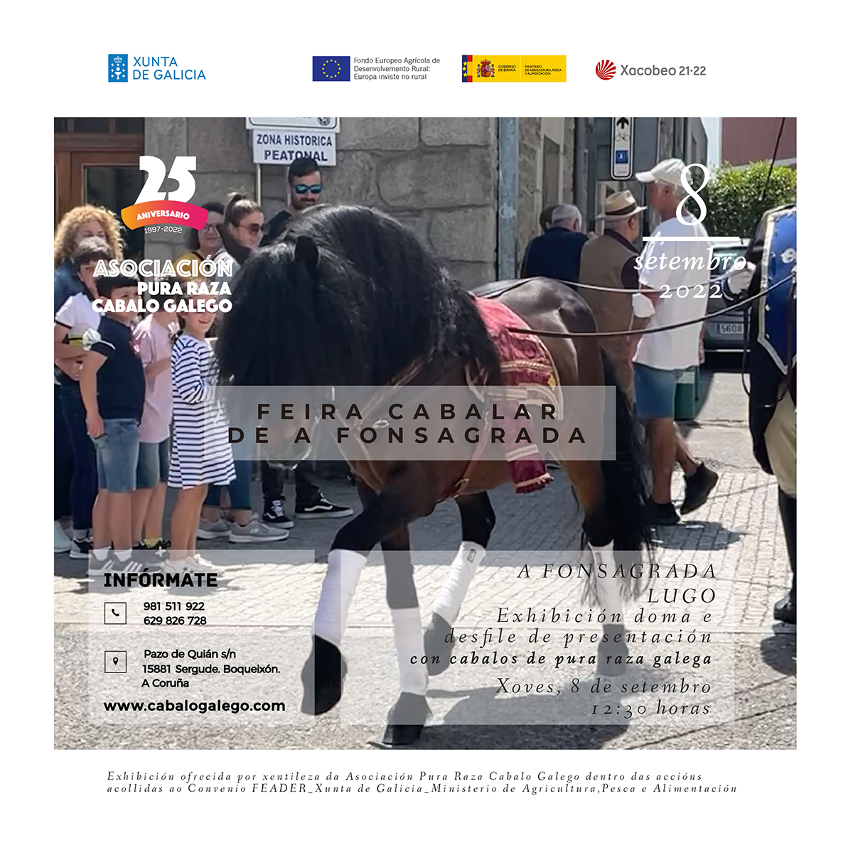 Exhibición de Doma con cabalos de pura raza galega A Fonsagrada. Lugo.