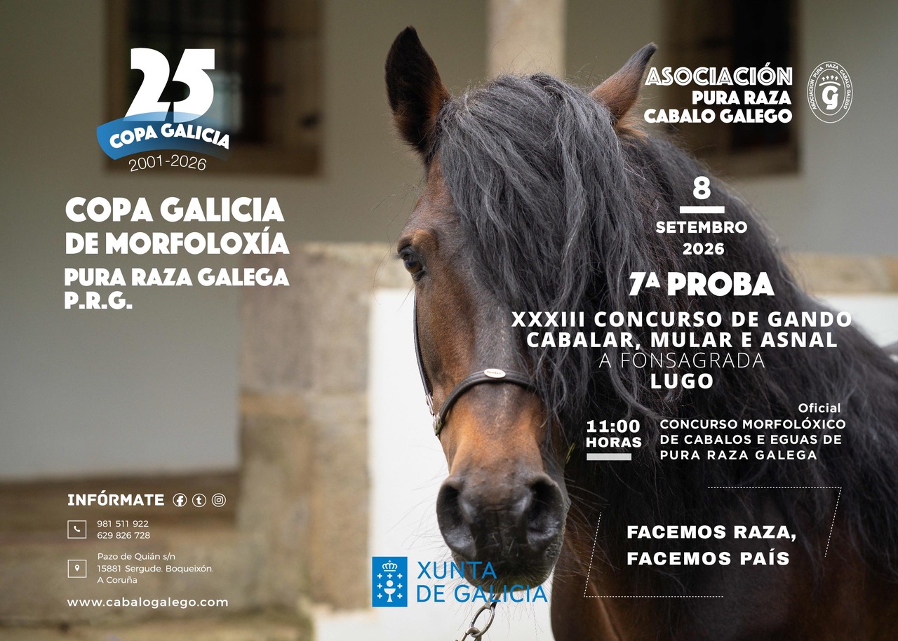 7ª Proba XXIV Copa Galicia de Morfoloxía Pura Raza Galega P.R.G.