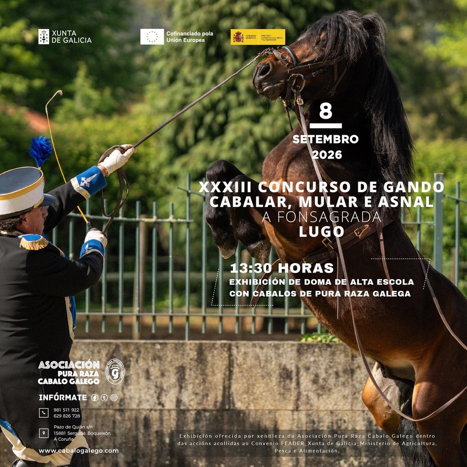 Exhibición de Doma con cabalos de Pura Raza Galega P.R.G. A Fonsagrada. Lugo