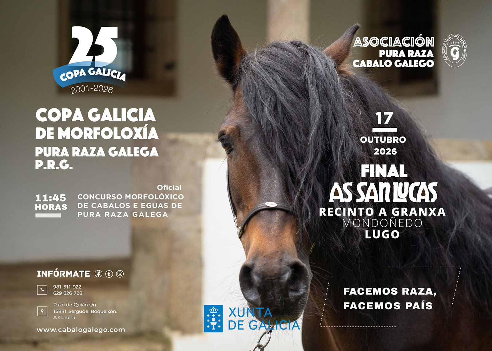 Final XXIV Copa Galicia de Morfoloxía Pura Raza Galega P.R.G.
