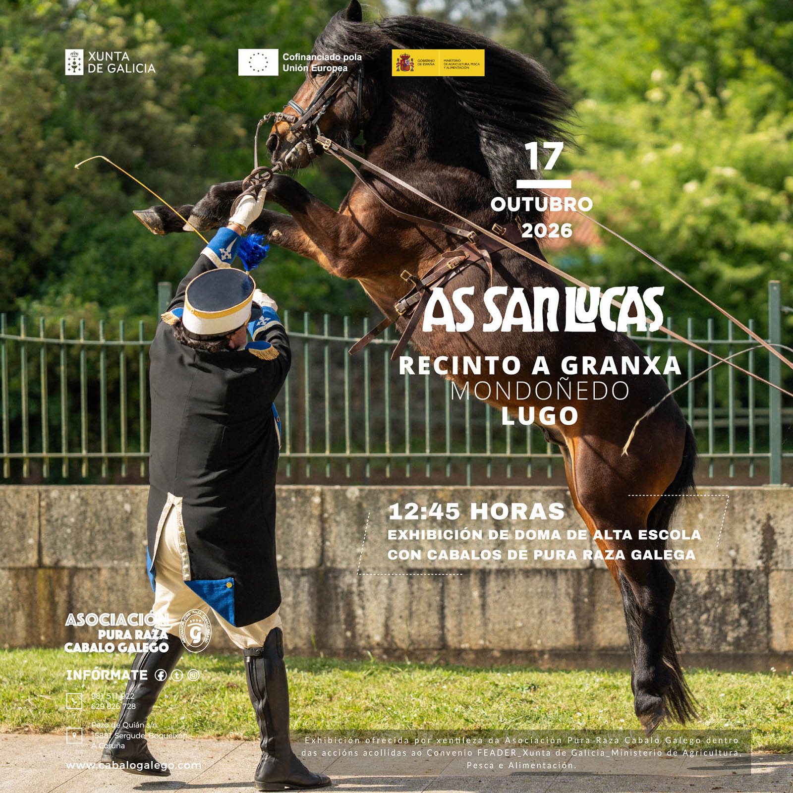 Exhibición de Doma con cabalos de Pura Raza Galega P.R.G. As SanLucas. Mondoñedo. Lugo